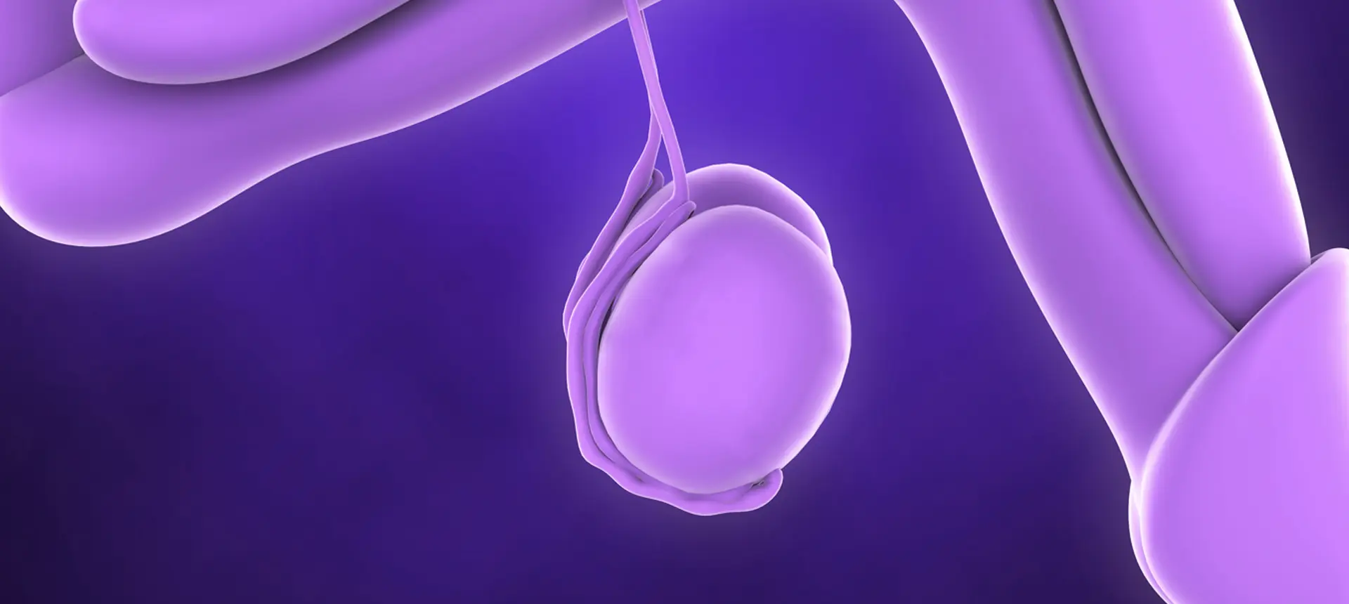 Prélèvement chirurgical de sperme (TESE, TESA, MESA, PESA) au centre IRIFIV Casablanca – récupération de spermatozoïdes pour FIV/ICSI