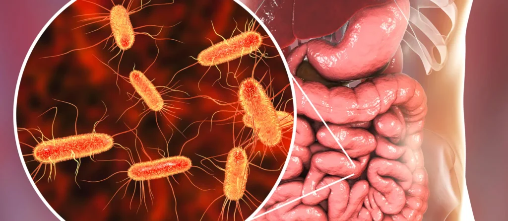 Microbiote et fertilité - IRIFIV Casablanca