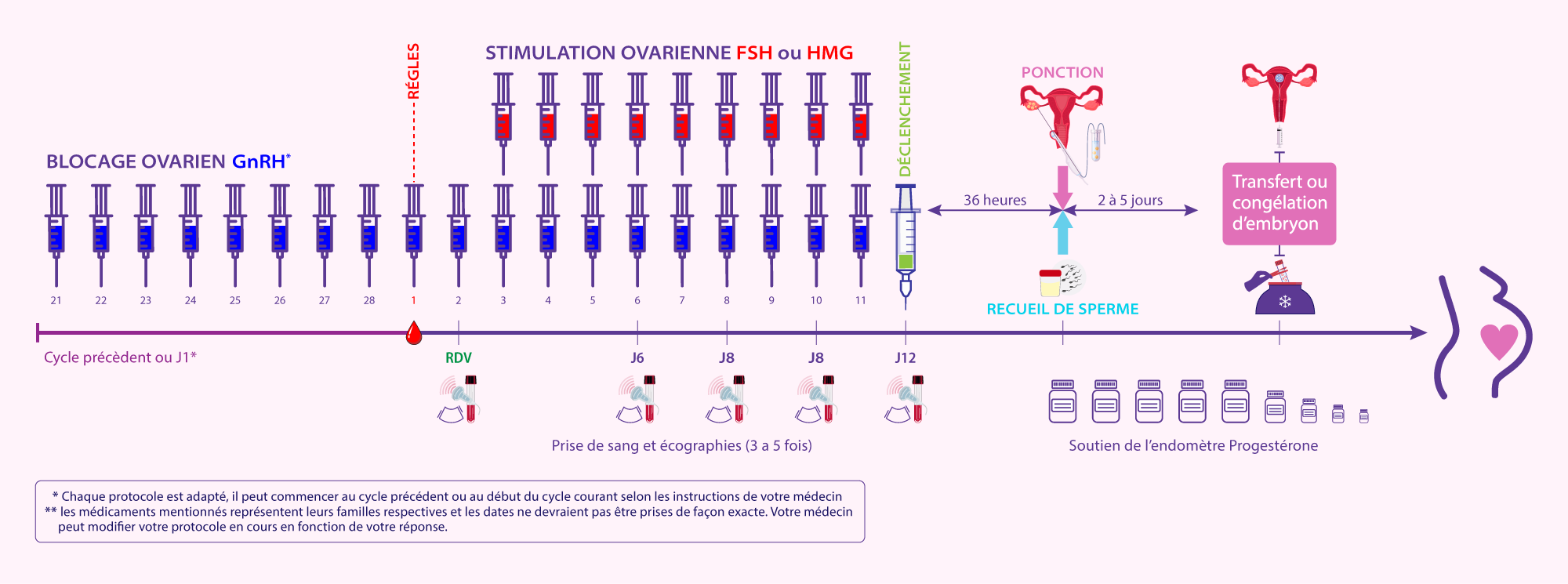 IRIFIV Casablanca Schéma explicatif du protocole agoniste long de stimulation ovarienne pour favoriser la maturation des ovocytes