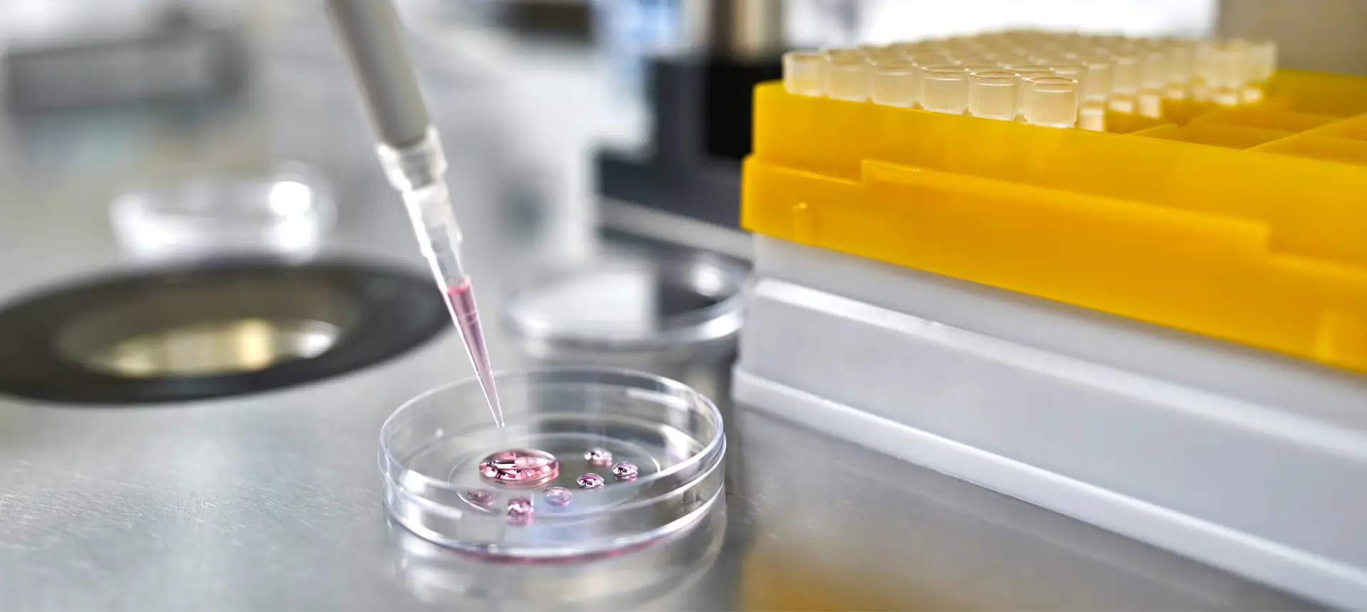 Processus de congélation des ovocytes par vitrification au centre IRIFIV Casablanca pour la préservation de la fertilité féminine