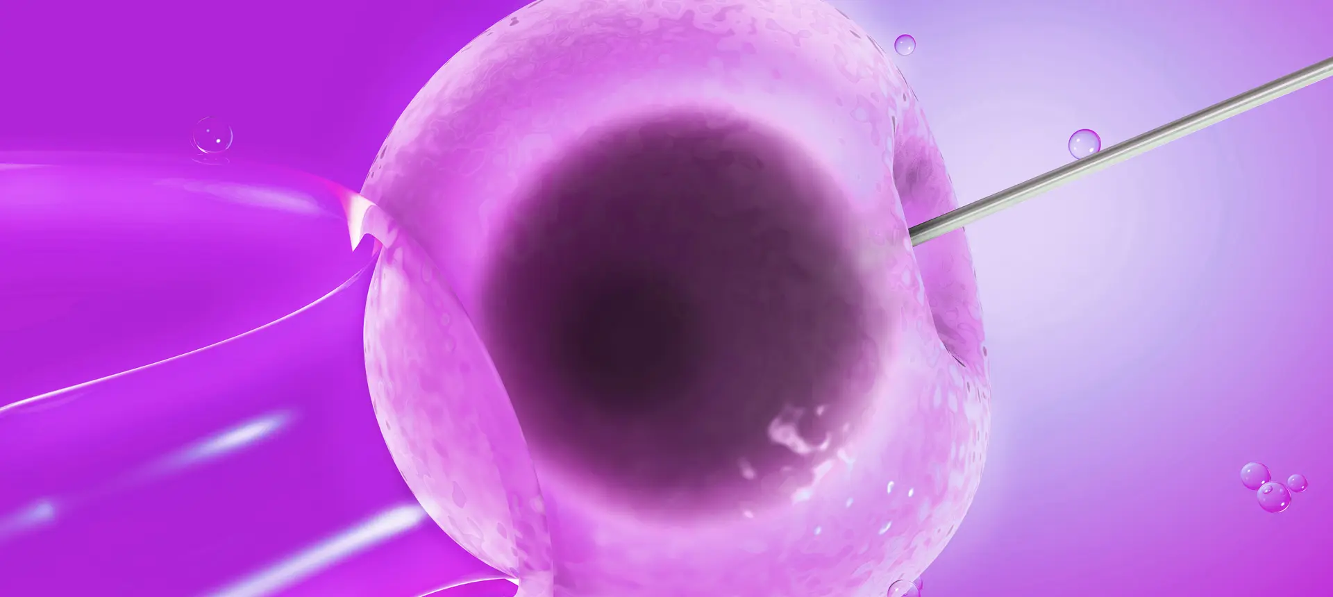 Éclosion assistée (Hatching) – Technique de FIV à IRIFIV Casablanca