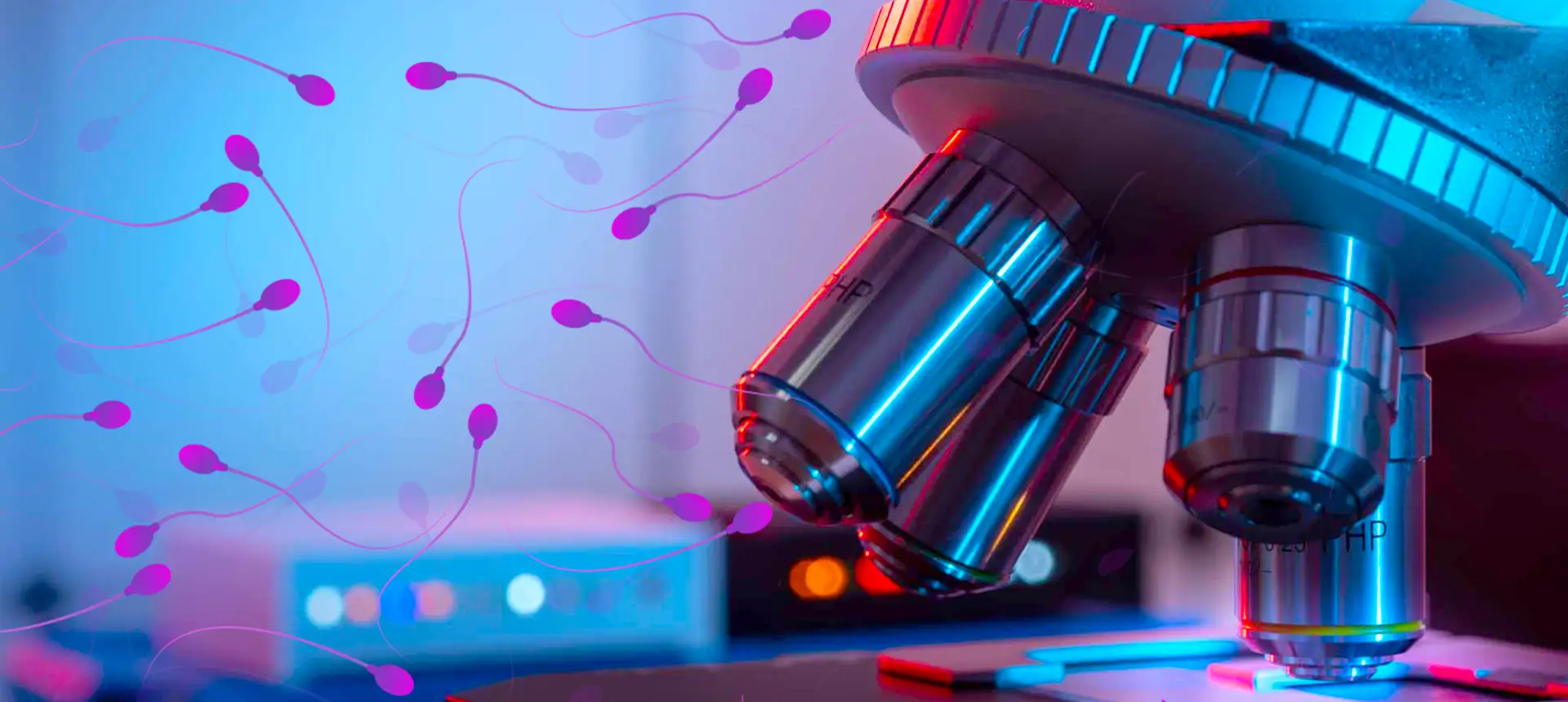 Technique IMSI au Centre IRIFIV Casablanca — microscope de haute puissance (×6000) pour la sélection morphologique des spermatozoïdes