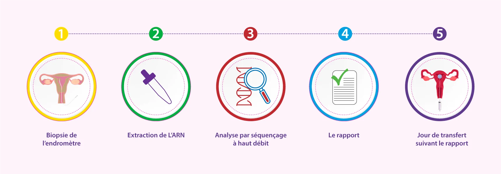 Procédure du test ERA - évaluation de la réceptivité de l'endomètre
