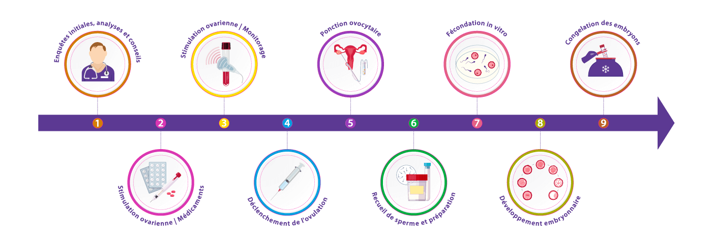 Illustration détaillant les étapes de la congélation et du stockage des embryons au centre IRIFIV Casablanca