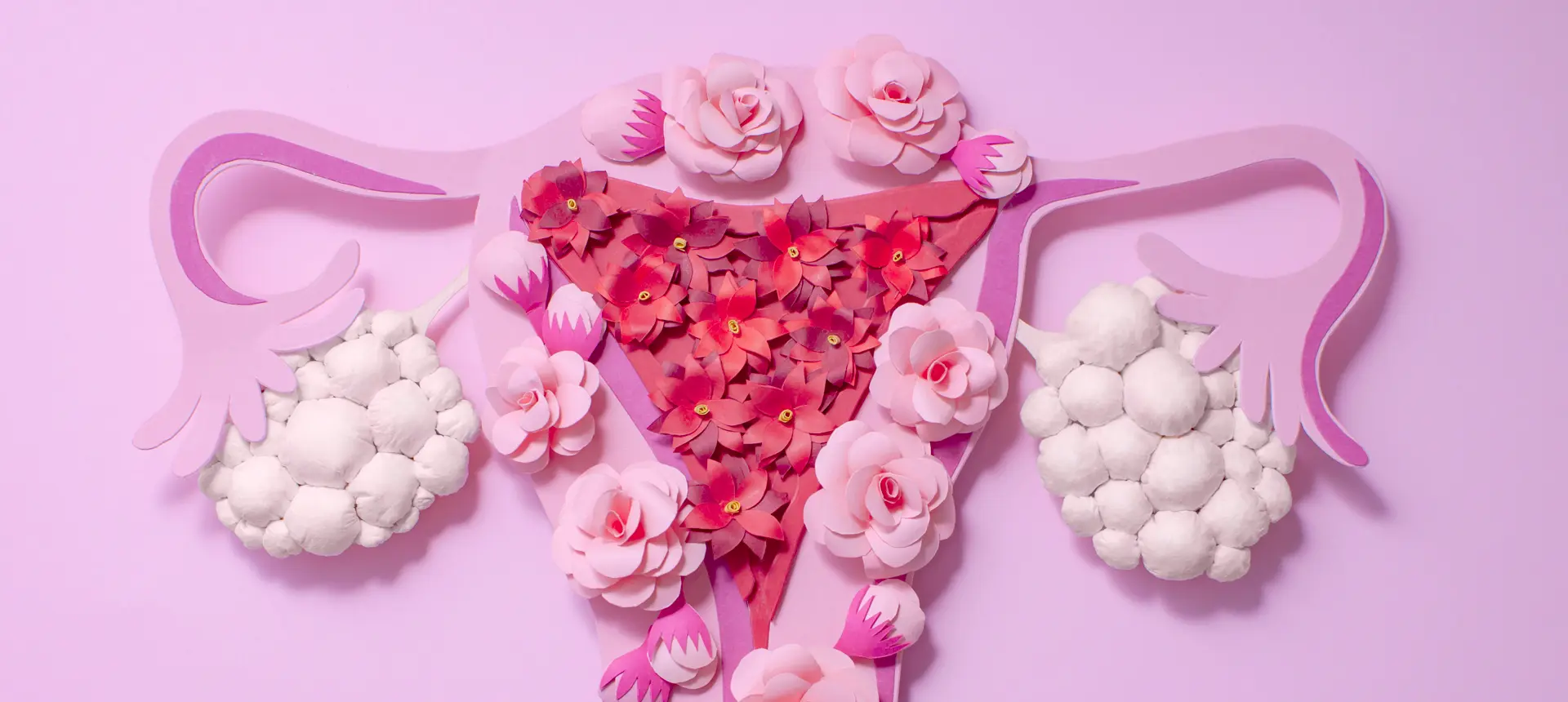 Rajeunissement ovarien PRP – IRIFIV Casablanca