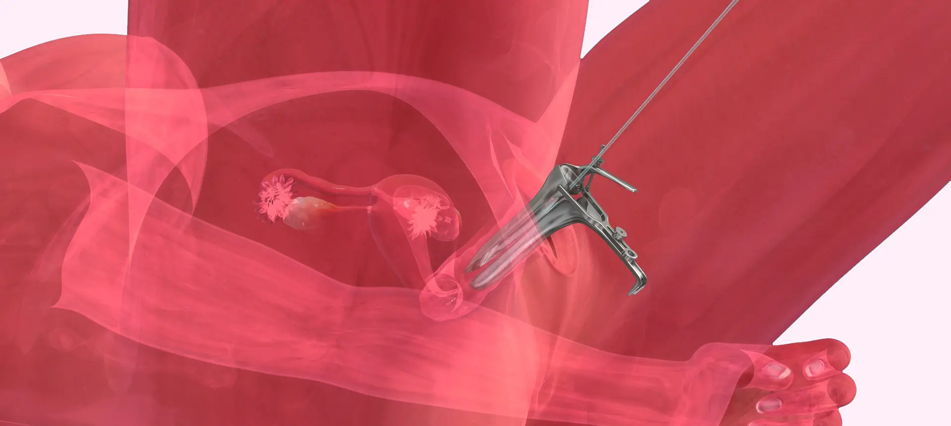 Transfert d’embryons au centre IRIFIV Casablanca avec Dr. Noureddine Louanjli