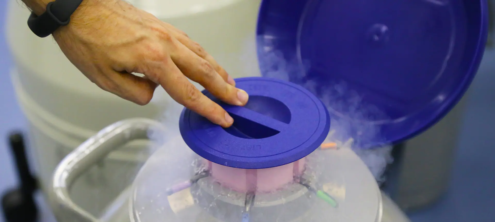 Vitrification des ovocytes, embryons et spermatozoïdes à IRIFIV Casablanca